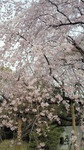 201104020924000.jpg