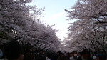 DSC00316.JPG