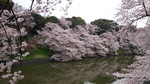 DSC00331.JPG