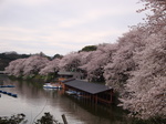 DSC00341.JPG