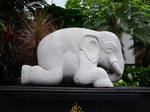 DSC00653.JPG