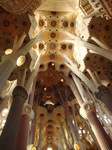 DSC00931.JPG